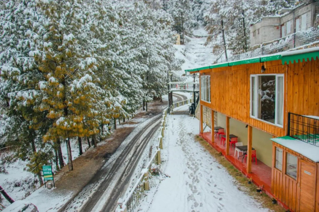 THEHIMALAYANLIVING WHISTLING PINES