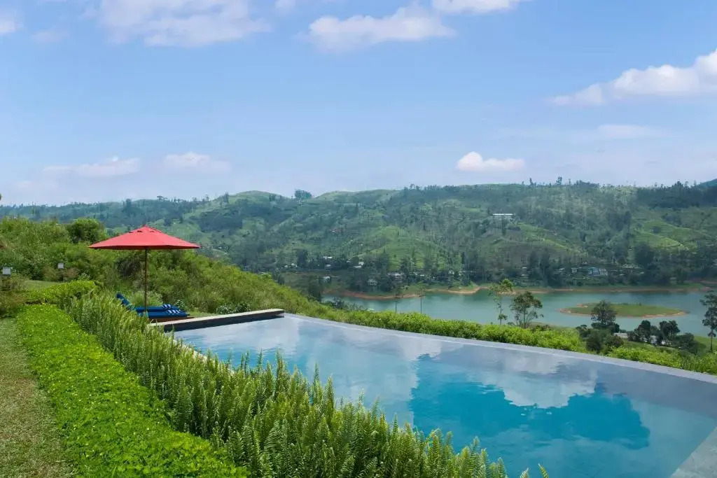 Camellia Hills