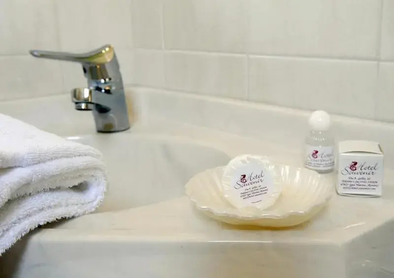 Hotel Souvenir