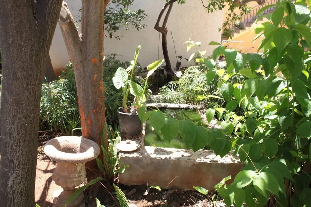 I tre Golfi Itaca