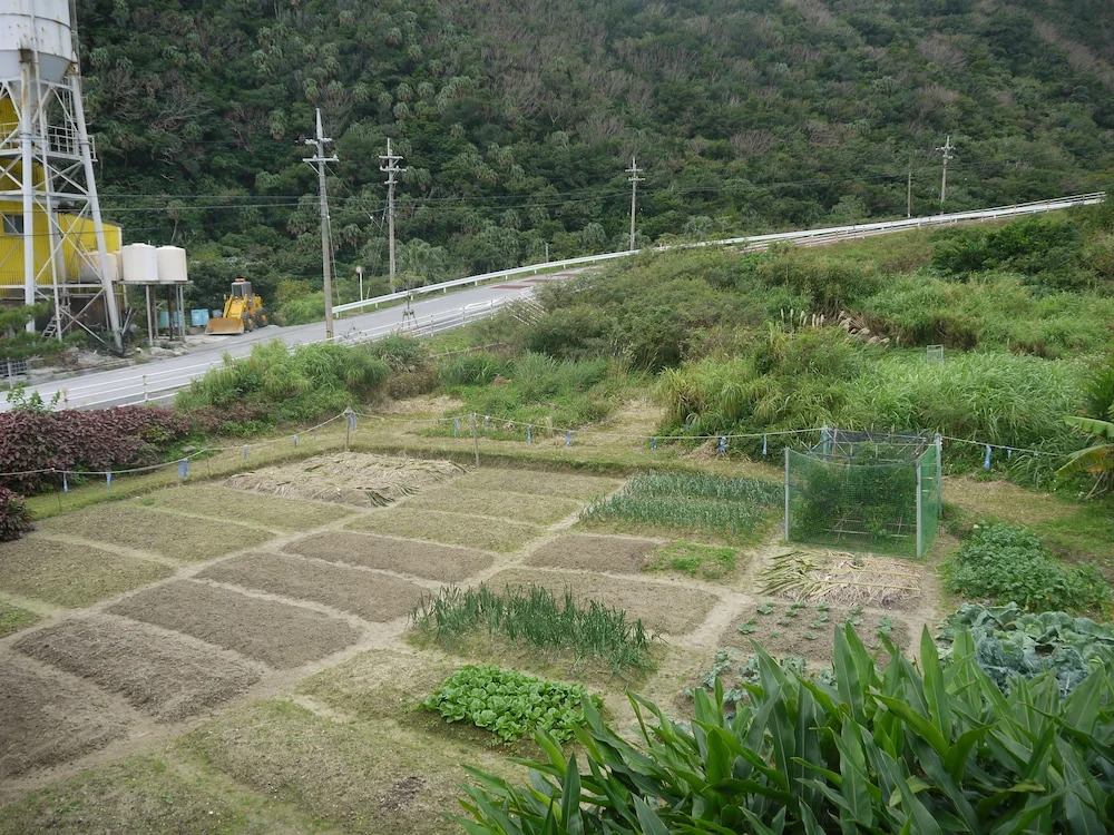 Minshuku Kariyushi
