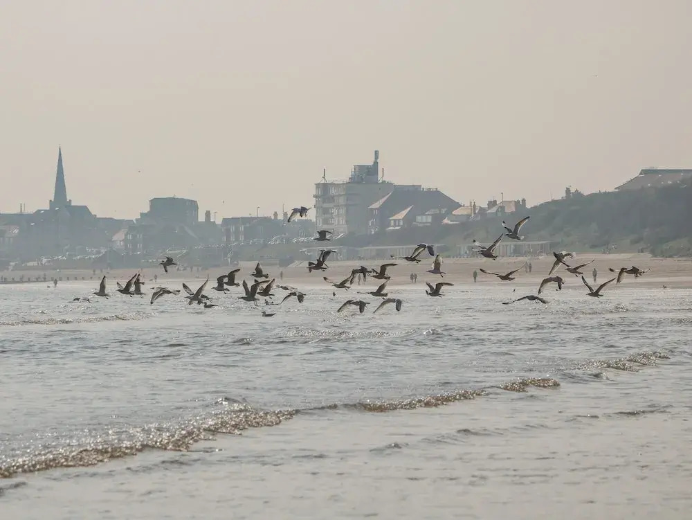 Cosy Coastal Holiday Let