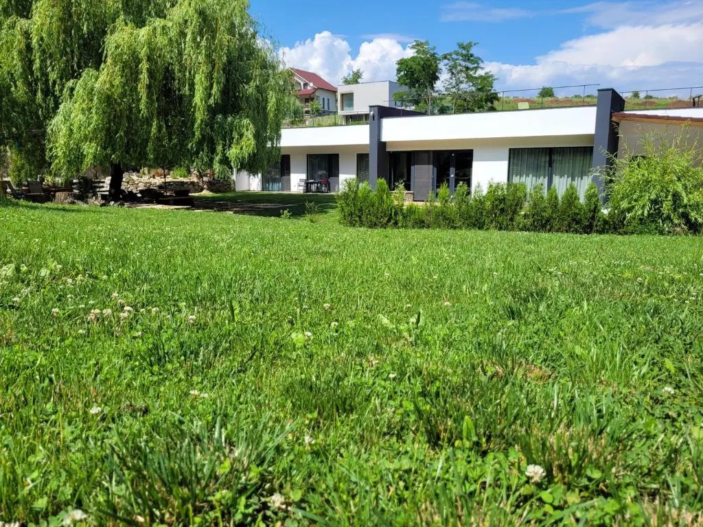 La Salcia din Pădure