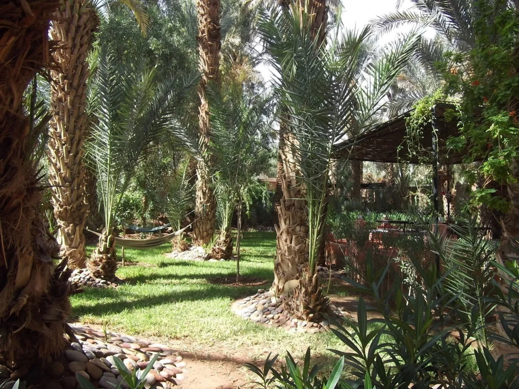Riad Marrat
