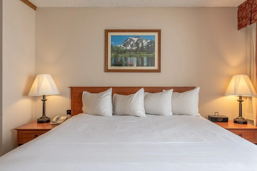 Studio With 2 Kings In Base Area 1 Bedroom Condo - No Cleaning Fee! by Redawning
