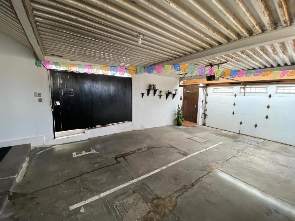 Zebra Studio