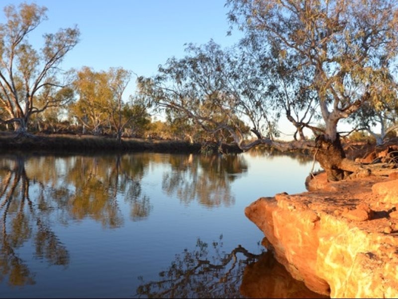 Wooleen Station