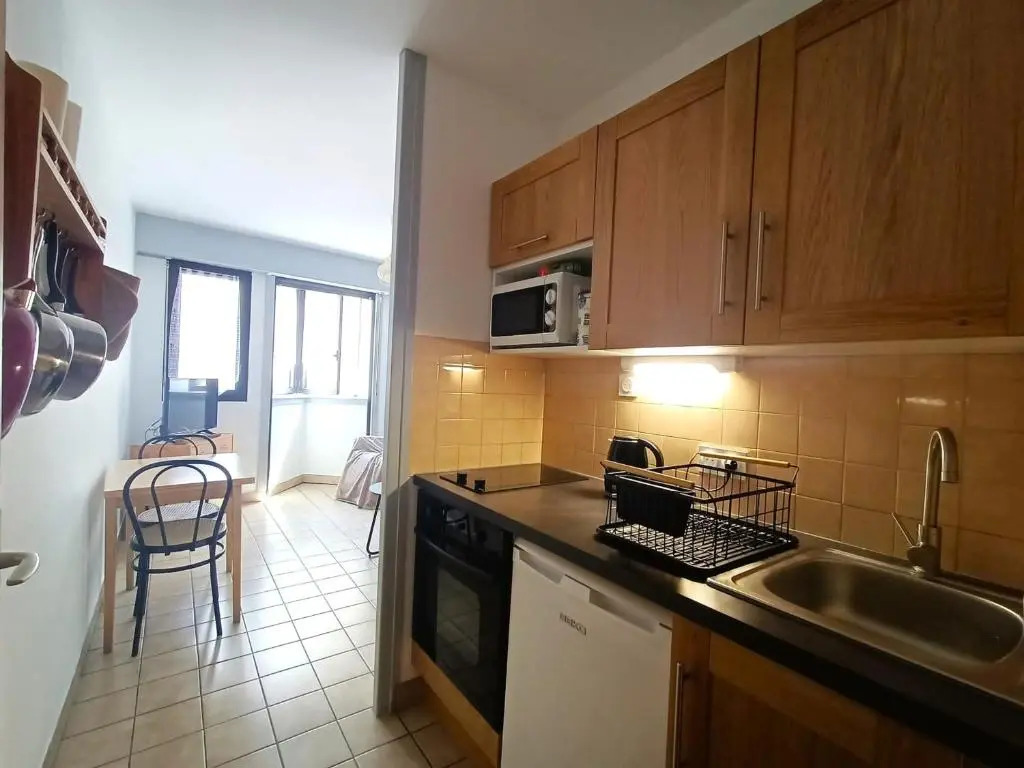 Studio Aix-les-Bains, 1 pièce, 2 personnes - FR-1-555-20