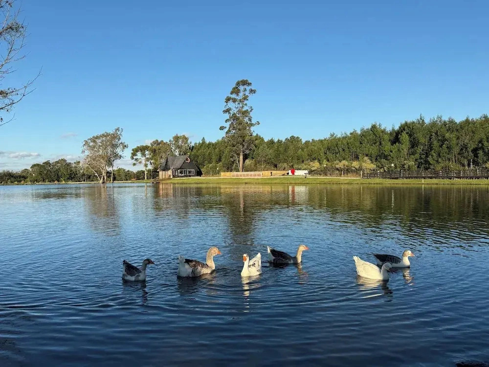 Vila Gramado