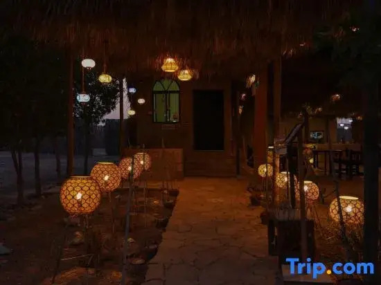 SAMA Ras Al Jinz Ecolodge