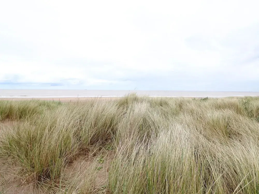Windyridge