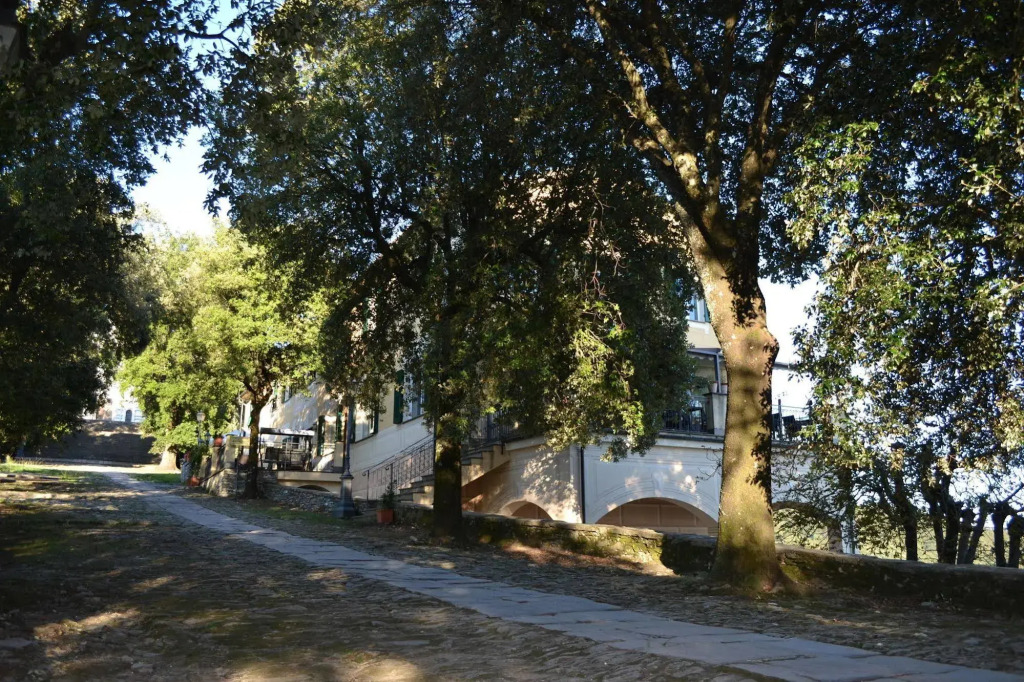 Hotel Montallegro
