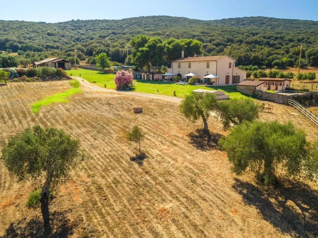 Podere Caprarecce Trilocale 6