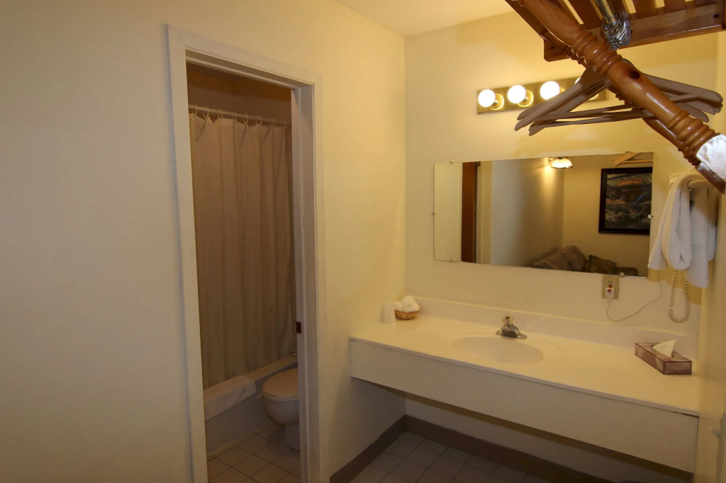 Hotel Le Mercier