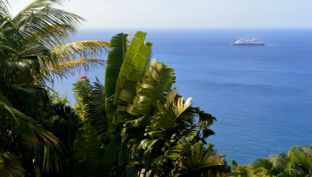 Nature's Paradise @ Marigot Bay