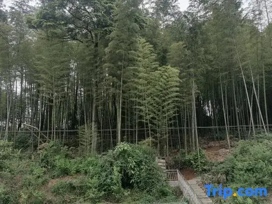 Yongchuan Chunzhu Mountain Villa (Chashan Zhuhai Branch)