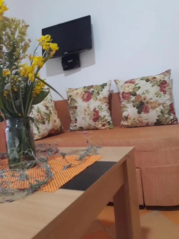 Apartments Aza