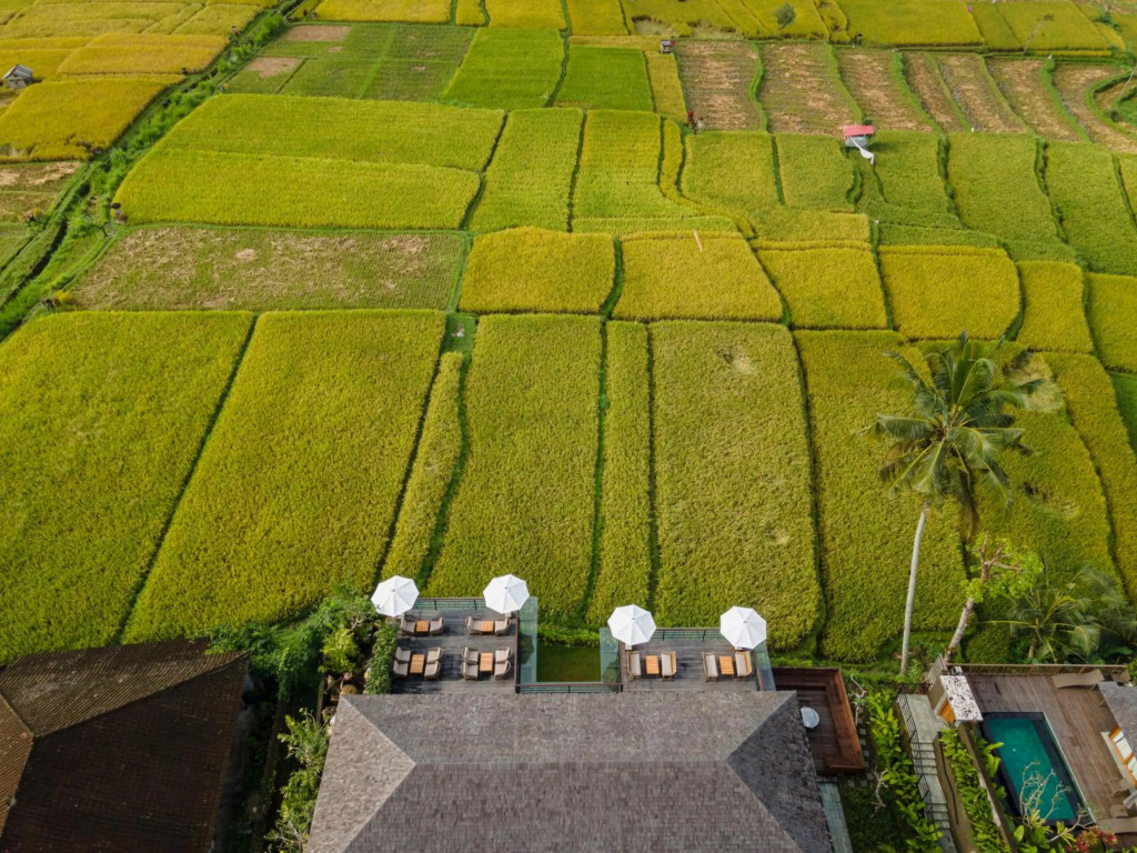 Отель Kappa Senses Ubud