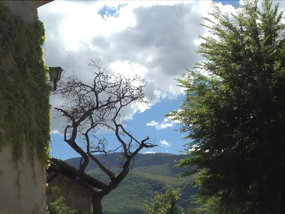 Alle Vecchie Querce