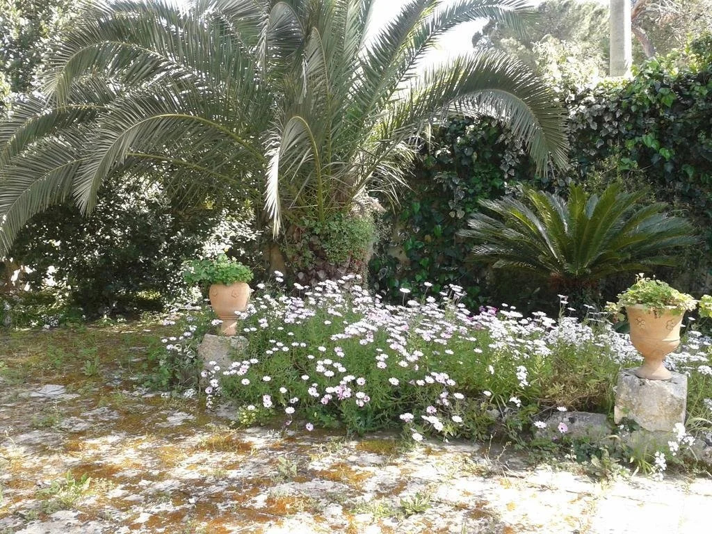 Masseria La Macchiola & Corti del Mito