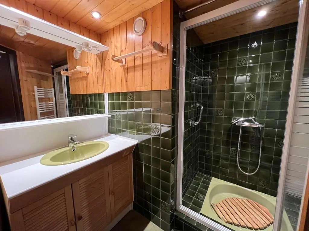Sapaudia G - Appartement skis aux pieds, belle vue