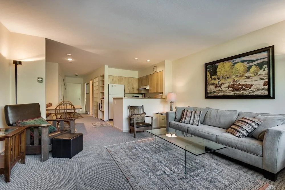 Muscatel Flats 20 1 Bedroom Condo By Accommodations in Telluride