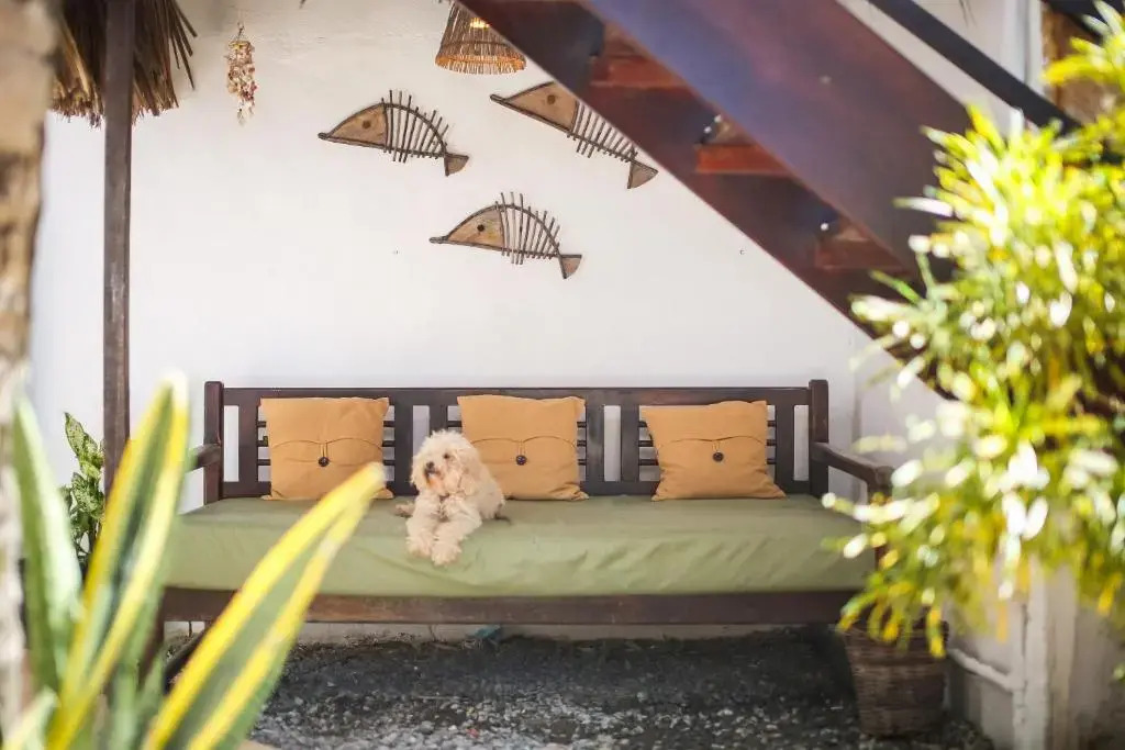 Mandala Hostel Jeri