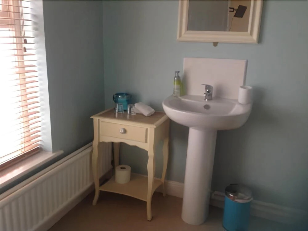 Lillys Pad