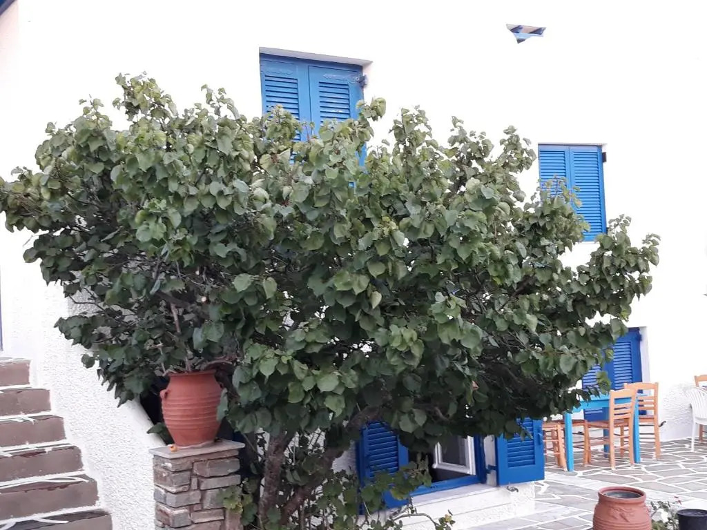 Holidays in Paros