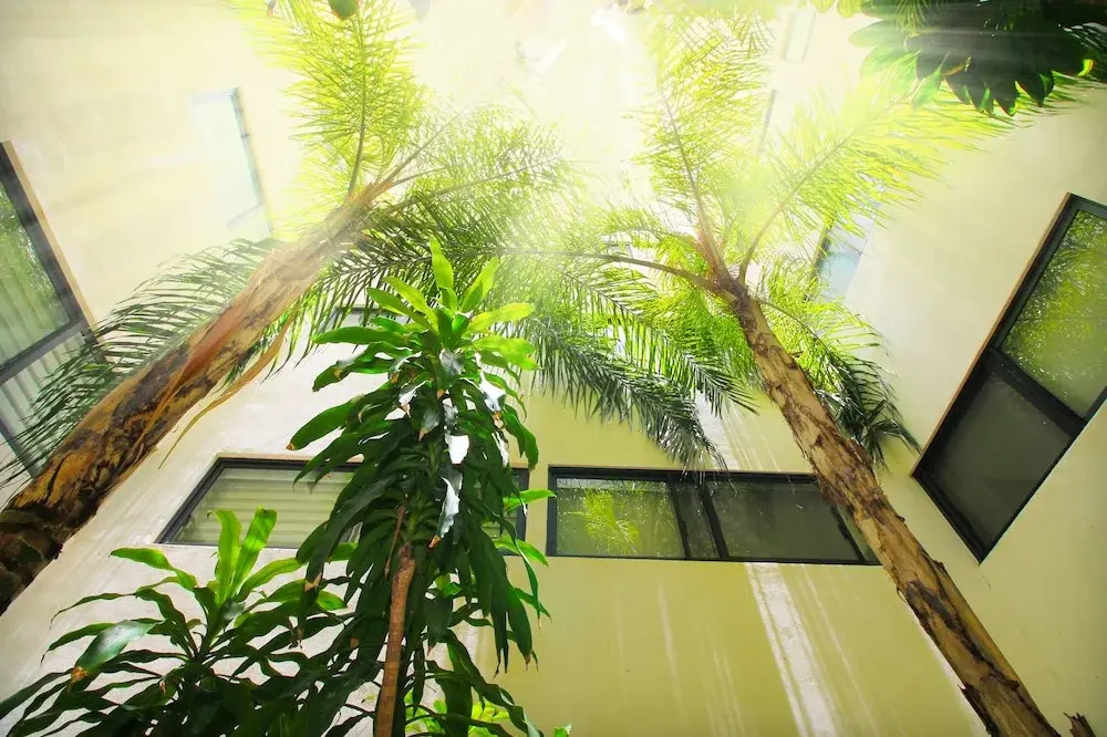 Terrazas Apartments near 5th ave & beach by select