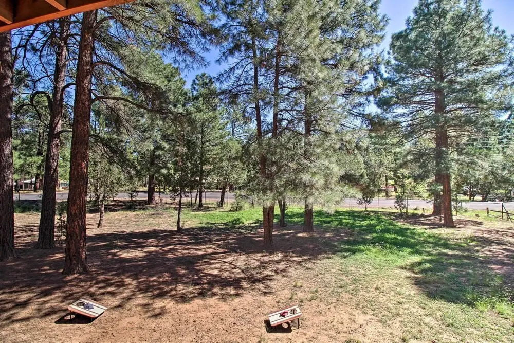 Large Deck, Grill: Pet-friendly Show Low Retreat!