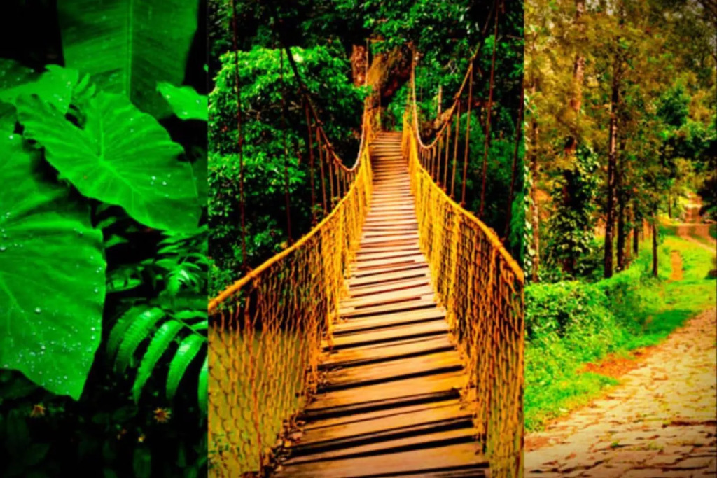 Meriyanda Nature Retreat & Spa