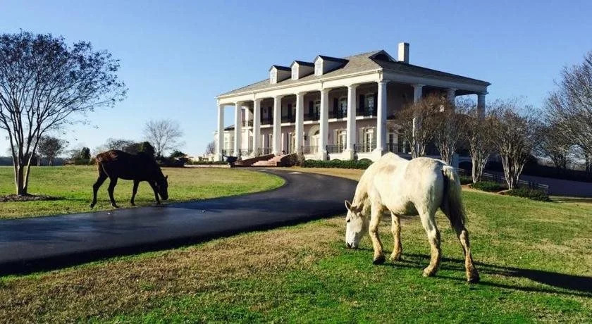 The Mansion at Red Hill