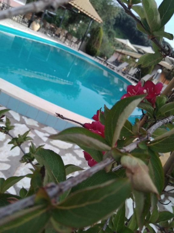 Villa Dorita Luxury Apartments
