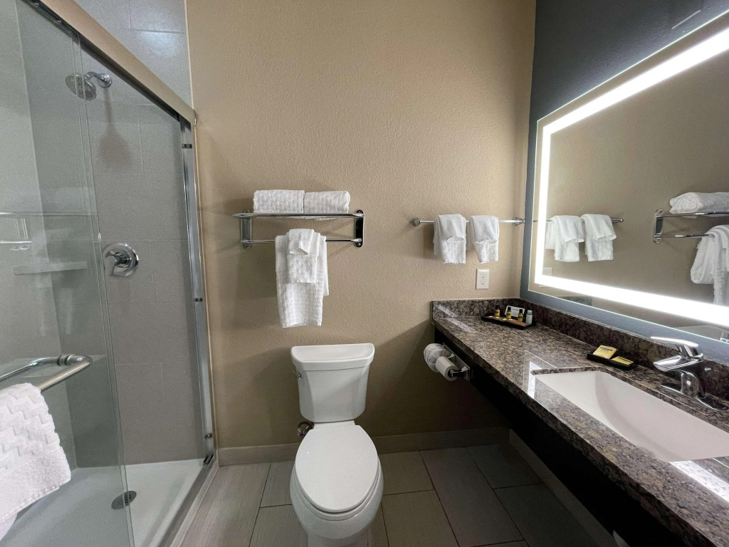 Best Western Plus Lake Jackson Inn & Suites