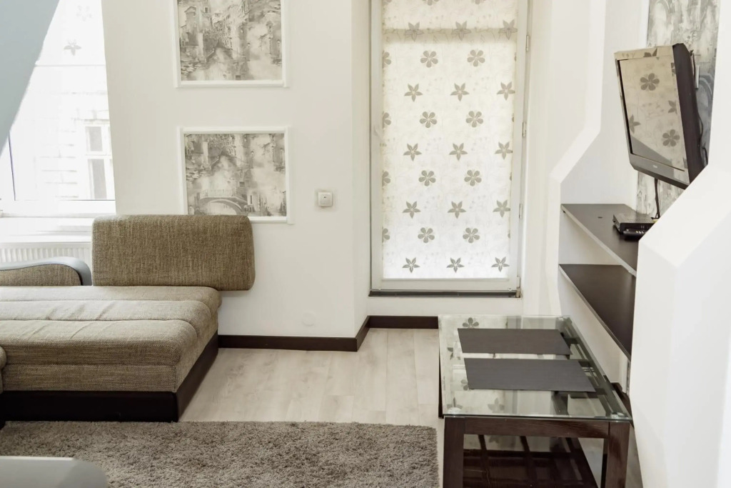 Transitional Havryky Apartment