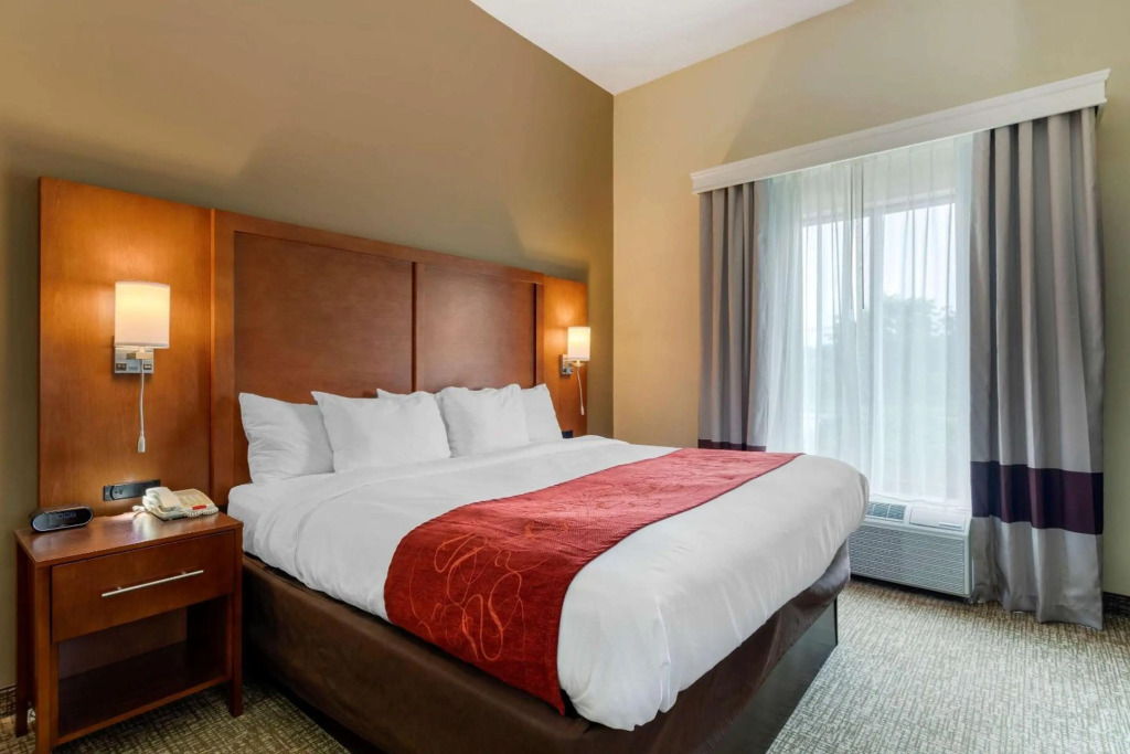 Comfort Suites Kingsport South