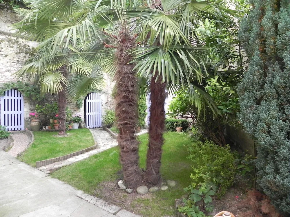 Cote Sud