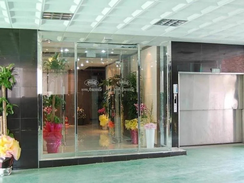 Hotel Anesville