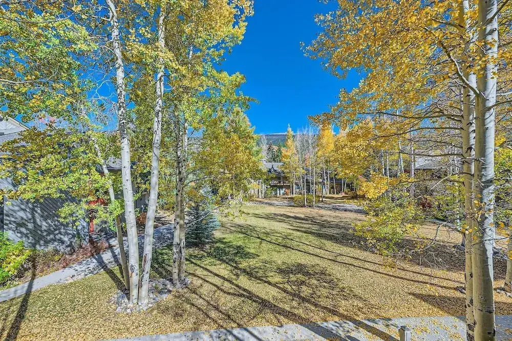1147 Flying Dutchman 1 Bedroom Condo