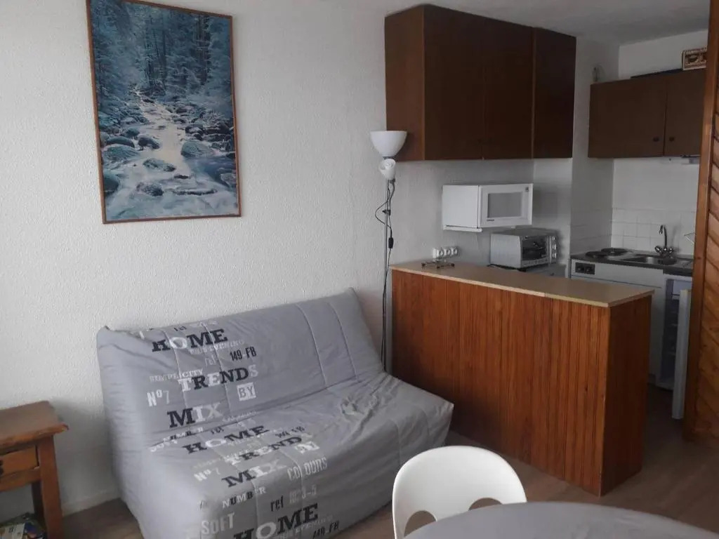 Appartement Arette, 1 pièce, 4 personnes - FR-1-602-70