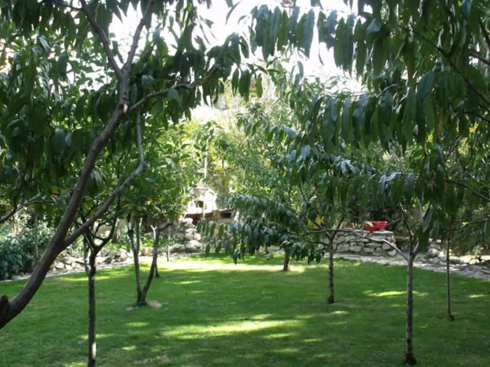 Villa Palma