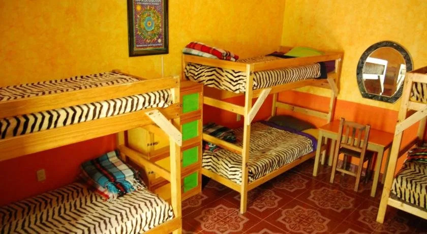 Iguana Hostel