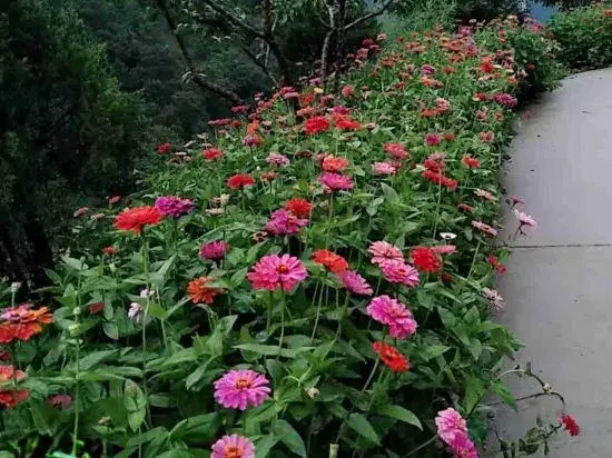 Yunding Resorts