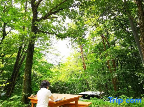 Private Cabin-Perfect for families, large groups
