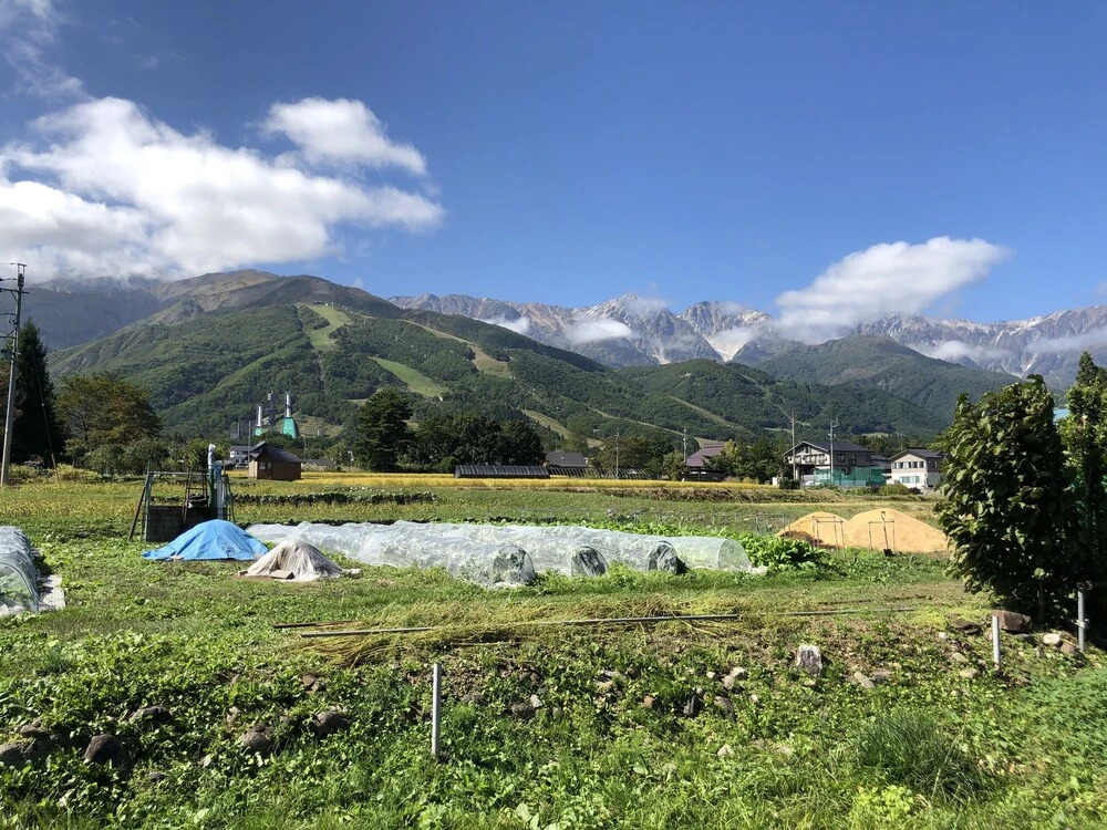 Bikei Chalet by Hakuba White Fox Company