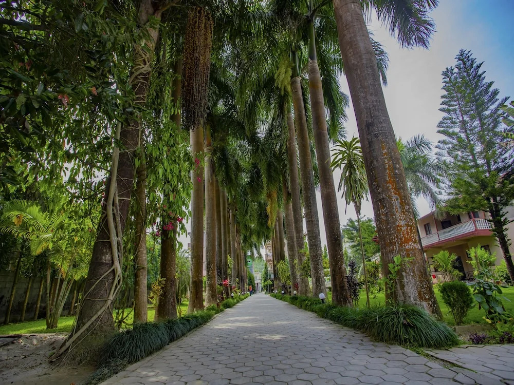 Jungle Nepal Resort