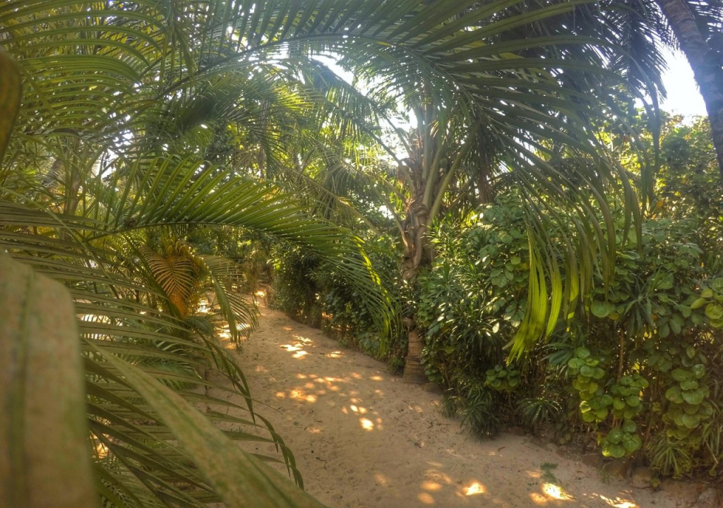Seashore Mirissa