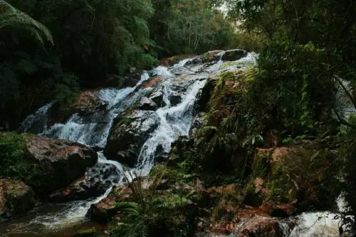 Refugio do Leao