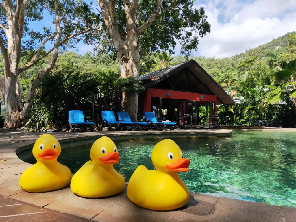 Turtle Cove Beach Resort